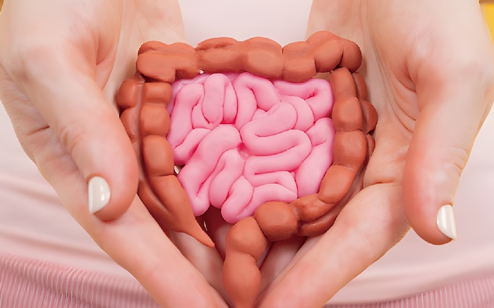 Intestinal Immunity